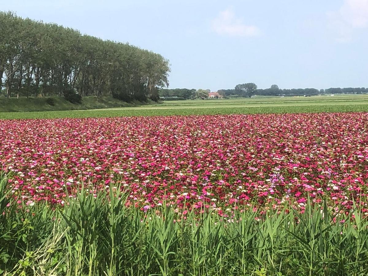 4 P Chalet Sint-Maartensdijk Zeeland Villa Esterno foto